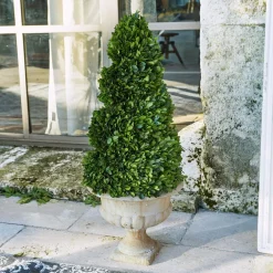 Deko-Baum Humbria