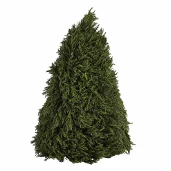 Deko-Baum Moran