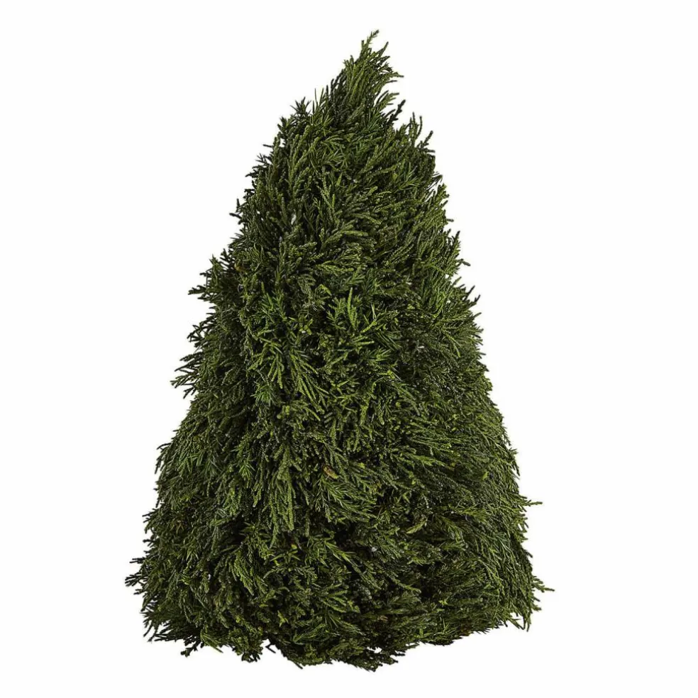 Deko-Baum Moran