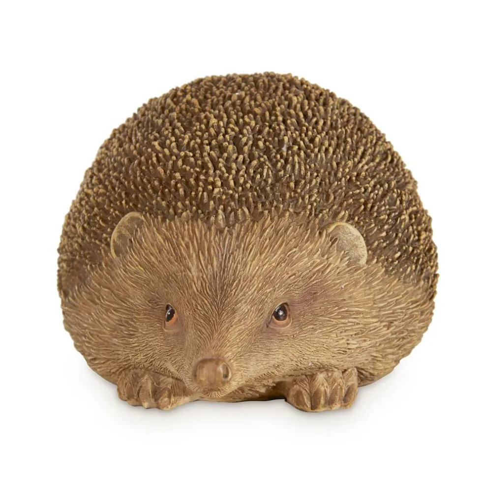 Deko-Igel Cotoca