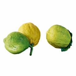 Deko-Zitrusfrucht 2er Set Ginny