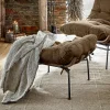 Hocker Horraine