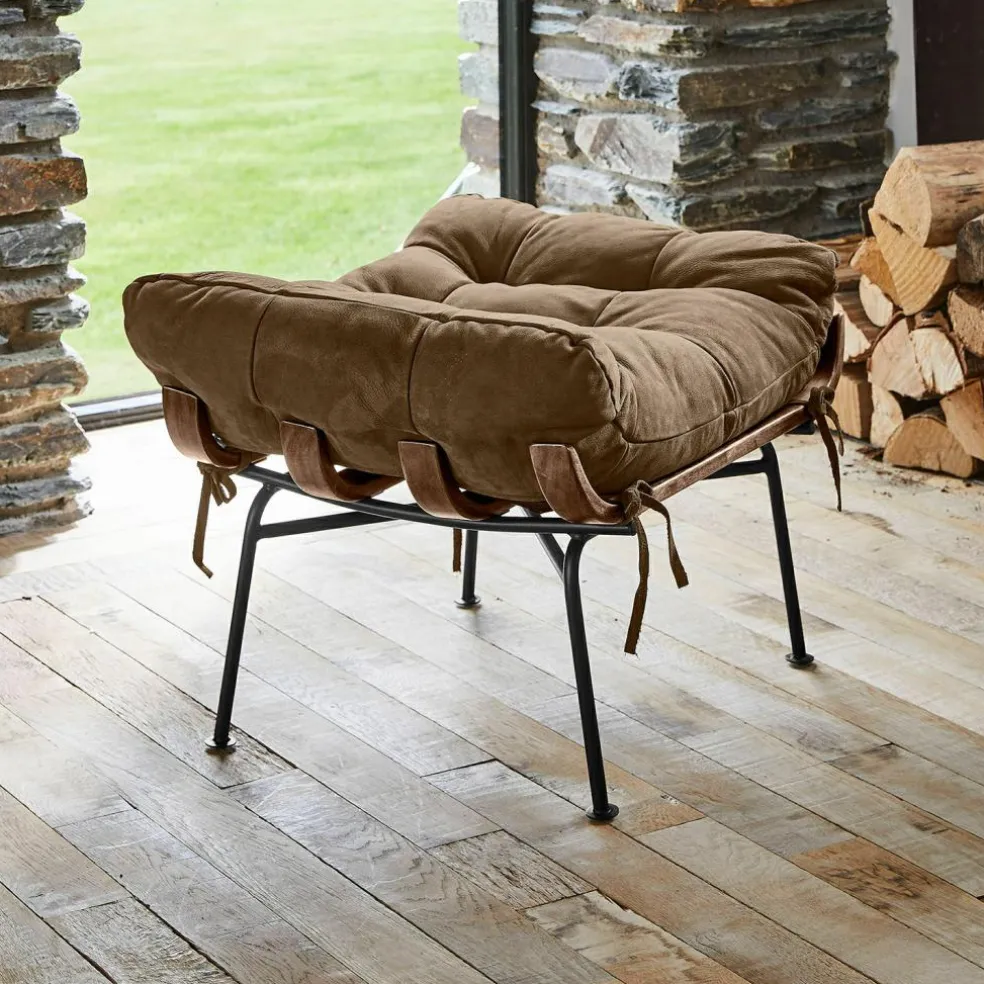 Hocker Horraine