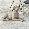 Hund Socrate