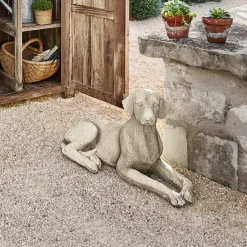 Hund Socrate