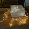 Lichterkette 2er Set Drivale