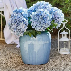 Vase Uxemir