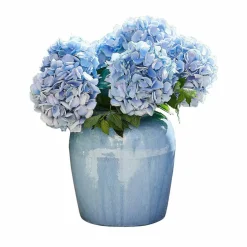 Vase Uxemir