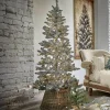 Weihnachtsbaum Sansais