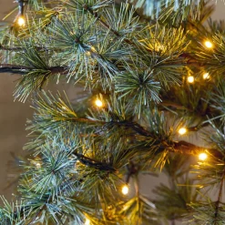 Weihnachtsbaum Sapi